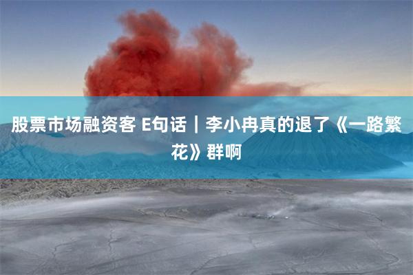 股票市场融资客 E句话｜李小冉真的退了《一路繁花》群啊