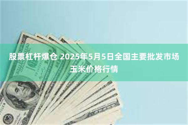 股票杠杆爆仓 2025年5月5日全国主要批发市场玉米价格行情
