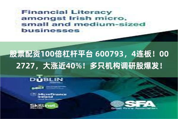 股票配资100倍杠杆平台 600793，4连板！002727，大涨近40%！多只机构调研股爆发！