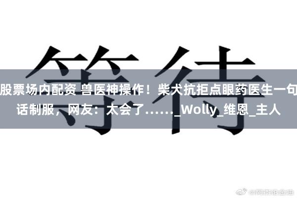 股票场内配资 兽医神操作！柴犬抗拒点眼药医生一句话制服，网友：太会了……_Wolly_维恩_主人