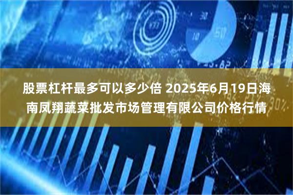 股票杠杆最多可以多少倍 2025年6月19日海南凤翔蔬菜批发市场管理有限公司价格行情