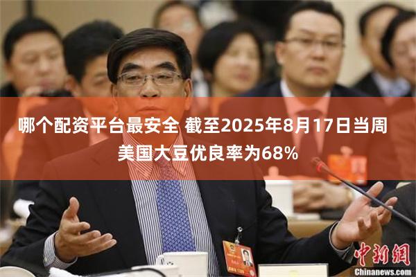 哪个配资平台最安全 截至2025年8月17日当周  美国大豆优良率为68%