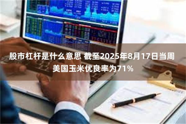 股市杠杆是什么意思 截至2025年8月17日当周 美国玉米优良率为71%