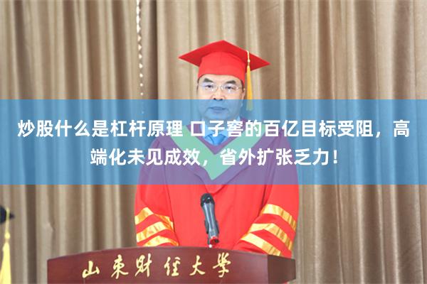炒股什么是杠杆原理 口子窖的百亿目标受阻,高端化未见成效,省外扩张乏力!