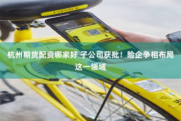 杭州期货配资哪家好 子公司获批！险企争相布局这一领域